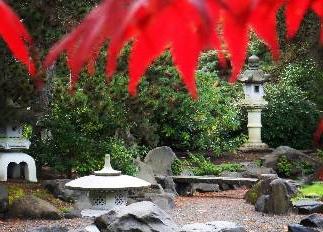 red leaves and stone in the japanese garden